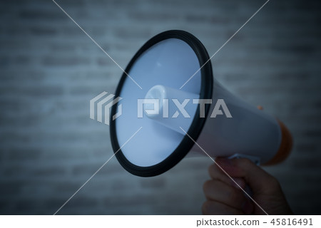 Loudspeaker 45816491