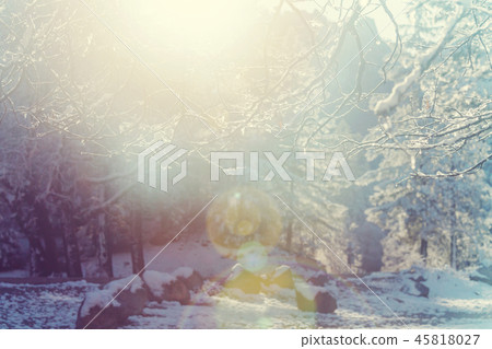 Winter season 45818027