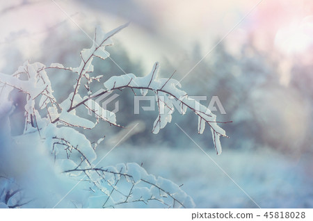 Winter season 45818028