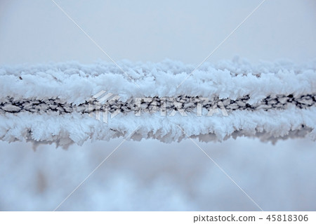 White winter forest in a cold winter day. White winter forest in a cold winter day. 45818306