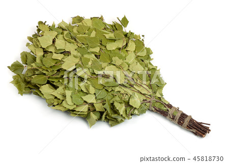 Birch broom Birch broom 45818730