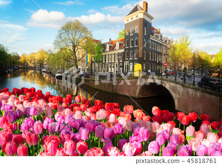 Houses of Amstardam, Netherlands 45818761