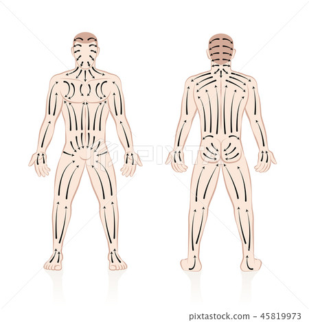 Dry Skin Brushing Direction Of Brush Strokes 45819973