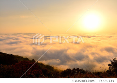 Mt. Mt. 45820535