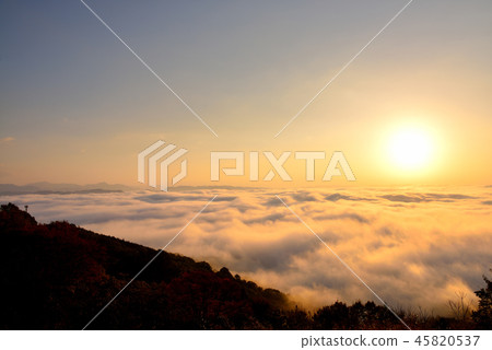 Mt. Mt. 45820537