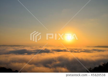 大撫山 大撫山 45820538