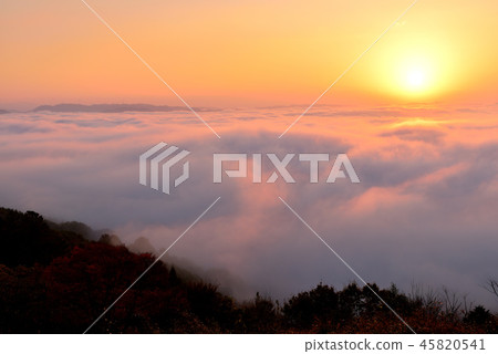 大撫山 大撫山 45820541