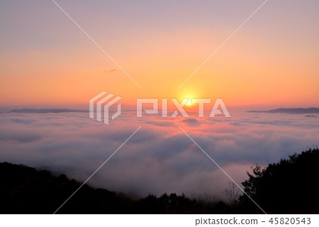 大撫山 大撫山 45820543