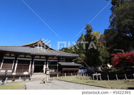 Nara Park Autumn leaves and deer 45822365