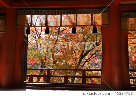 Autumn leaves of Shishiyama Shrine Autumn leaves of Shishiyama Shrine 45824798