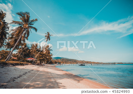 Beautiful tropical beach and sea with coconut palm tree in paradise island Beautiful tropical beach and sea with coconut palm tree in paradise island 45824993