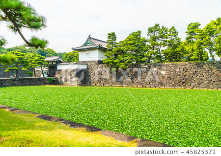 Beautiful old architecture imperial palace castle with moat and bridge at Tokyo city 45825371