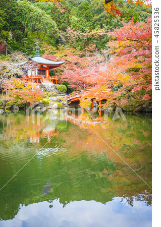 Beautiful Daigoji temple with colorful tree and leaf in autumn season Beautiful Daigoji temple with colorful tree and leaf in autumn season 45825536