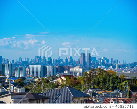 寢屋川市和大阪市的摩天大樓 45825711
