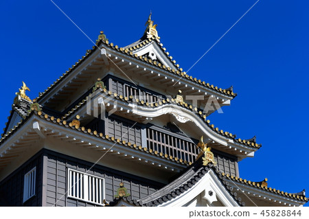 Okayama Castle 45828844
