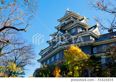 Okayama Castle 45828854
