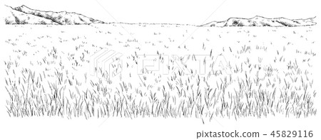 Cartoon style pen drawing illustration Natural... - Stock Illustration ...