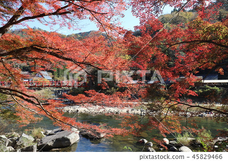 Kaarashikei and Momiji Kaarashikei and Momiji 45829466