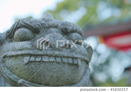 Oita Kasuga Shrine Oita Kasuga Shrine 45830357