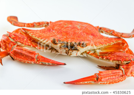 煮小龍蝦 煮小龍蝦 45830625
