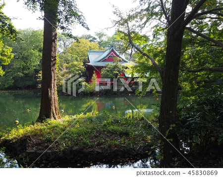 井之頭公園 45830869