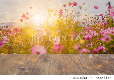 wooden table in front of blurred flower field with wooden table in front of blurred flower field with 45831152