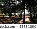 台南公園 45831800
