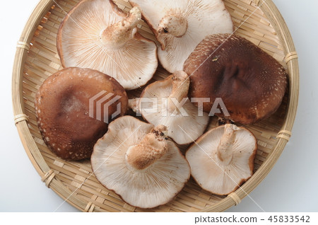 Shiitake mushroom 45833542