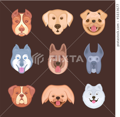 Set of Stickers of Dogs. Set of Stickers of Dogs. 45833677
