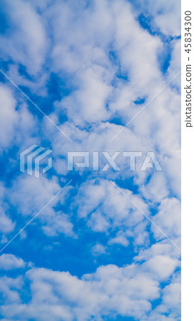 November sky (vertical) November sky (vertical) 45834300