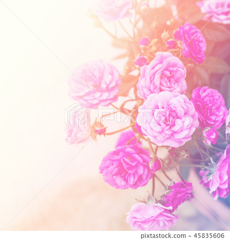 Beautiful flowers. Beautiful flowers. 45835606