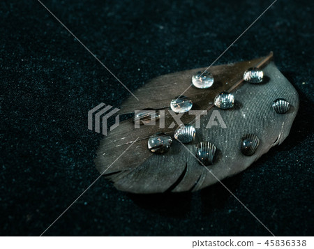 water drops on a black bird feather water drops on a black bird feather 45836338