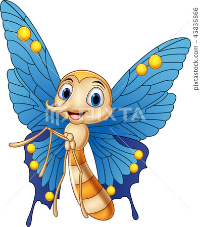 Fanny Butterfly