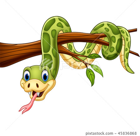 Cartoon green snake on tree branch 45836868