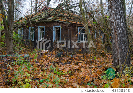 Abandoned wooden house in Chernobyl 45838148