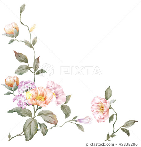 優雅的玫瑰花花卉和樹枝 45838296