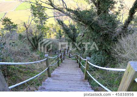 It is a beautiful scenery of Jeju Bajangji Oumn (Dansan) It is a beautiful scenery of Jeju Bajangji Oumn (Dansan) 45838956