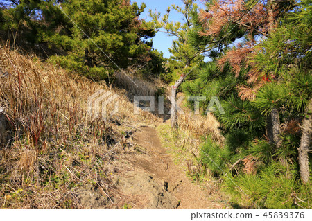 這是濟州Bajangji Oumn(Dansan)的美麗風景 這是濟州Bajangji Oumn(Dansan)的美麗風景 45839376