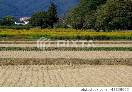 Breeding of alien species Population of alien species 45839693