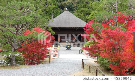 Shiromizu Amidado Fall / Pure Land Garden (Fukushima Prefecture, Iwaki City) Shiromizu Amidado Fall / Pure Land Garden (Fukushima Prefecture, Iwaki City) 45839942