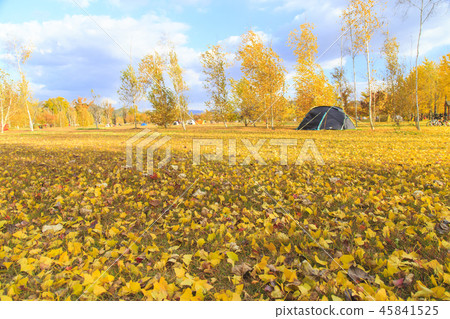 Autumn camping 45841525