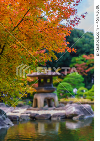 Autumn leaves scenery of old Furukawa garden in Japan Autumn leaves scenery of old Furukawa garden in Japan 45841686