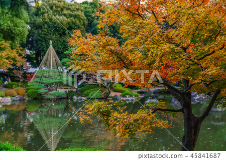 Autumn leaves scenery of old Furukawa garden in Japan Autumn leaves scenery of old Furukawa garden in Japan 45841687