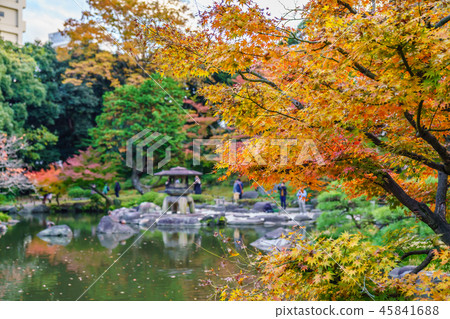 Autumn leaves scenery of old Furukawa garden in Japan Autumn leaves scenery of old Furukawa garden in Japan 45841688