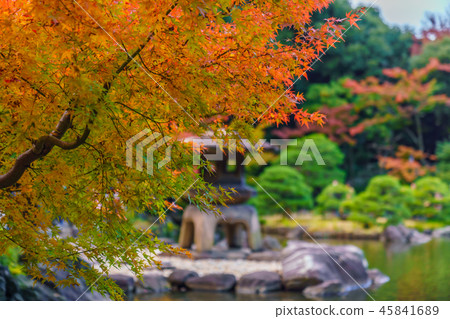 Autumn leaves scenery of old Furukawa garden in Japan Autumn leaves scenery of old Furukawa garden in Japan 45841689