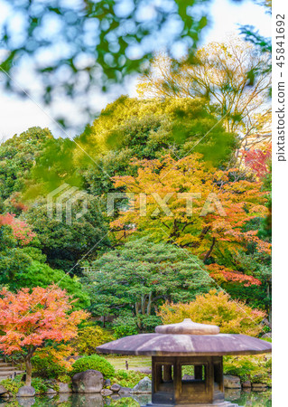秋葉老Furukawa庭院風景在日本 秋葉老Furukawa庭院風景在日本 45841692