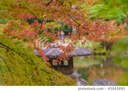 秋葉老Furukawa庭院風景在日本 45841693