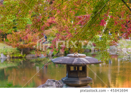秋葉老Furukawa庭院風景在日本 秋葉老Furukawa庭院風景在日本 45841694
