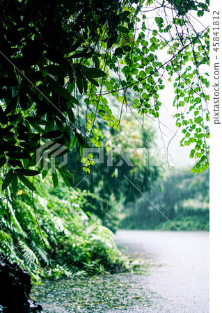 Rainy Lake Vietnam-Nimbin 45841812