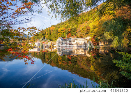 Japan Beautiful Maple Leaf Travel Kyushu Kinrin Lake Maple leaf Maple leaf Autumn leaves Maple Japan Beautiful Maple Leaf Travel Kyushu Kinrin Lake Maple leaf Maple leaf Autumn leaves Maple 45841820